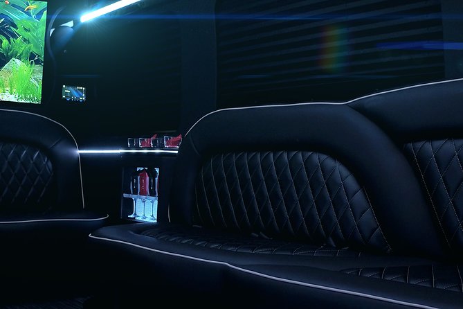 14 Passenger Luxury Sprinter Party Bus Ft Lauderdale 3 hour - What the driver can add to the outing