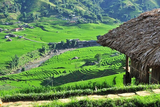 2-Day Trekking Adventure of Sapa from Hanoi with Night Bus - Day one: from Y Linh Ho to Ta Van