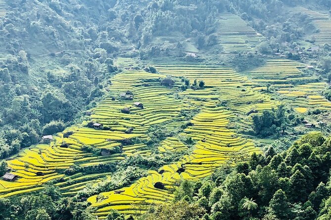 2-Day Trekking in Sa Pa from Ha Noi by sleeping bus - Bamboo forest paths to Giang Ta Chai