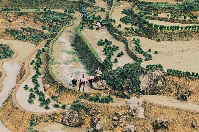 2-Day Trekking in Sa Pa from Ha Noi by sleeping bus - Fitness, weather, and what to pack