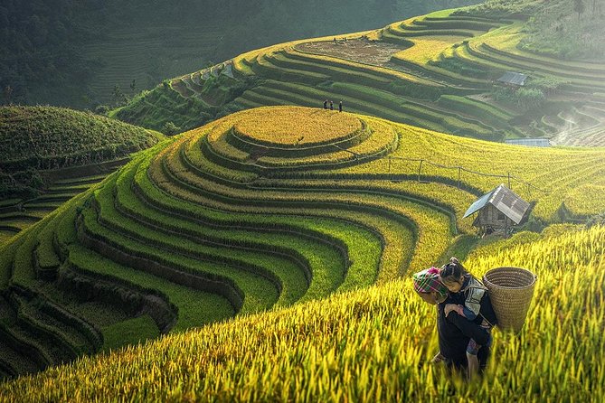 2-Night Sapa Tour with Fansipan Peak by Bus from Hanoi - Why this Sapa trip works well from Hanoi