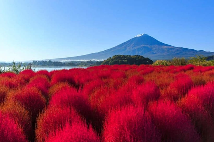 3-Row Luxury Bus Tour to Mt. Fuji, Lake Kawaguchi from Tokyo - Key points at a glance