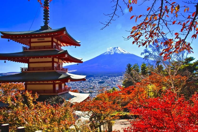 3-Row Luxury Bus Tour to Mt. Fuji, Lake Kawaguchi from Tokyo - Lunch and lakeside time at Kawaguchiko Craft Park