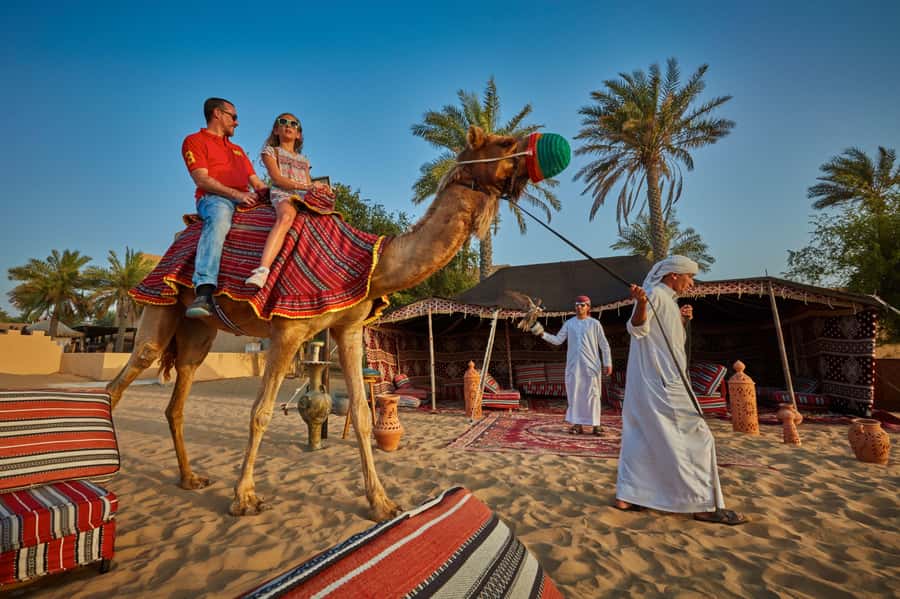 5-Day Pass: Hop-On Hop-Off, Lost World Aquarium, Dubai Frame - Lost World Aquarium: a convenient included stop