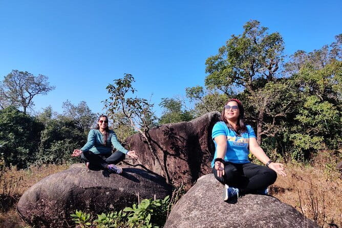 6-Day Tour of Exotic Northeast India: Mawsmai Caves, Double Decker Living Root Bridge and Kaziranga National Park - Day 4: Kaziranga National Park and the one-horned rhinoceros