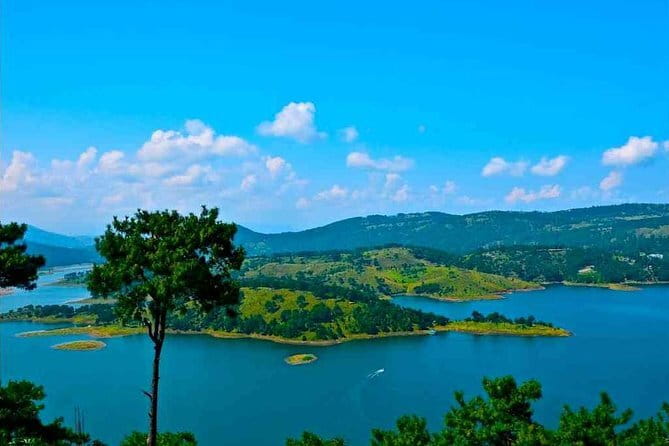 6-Day Tour of Exotic Northeast India: Mawsmai Caves, Double Decker Living Root Bridge and Kaziranga National Park - Day 5: Tea gardens and a closer look at Assam’s daily work