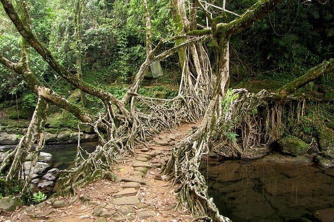 6-Day Tour of Exotic Northeast India: Mawsmai Caves, Double Decker Living Root Bridge and Kaziranga National Park - Day 1: Two hours on the Brahmaputra River
