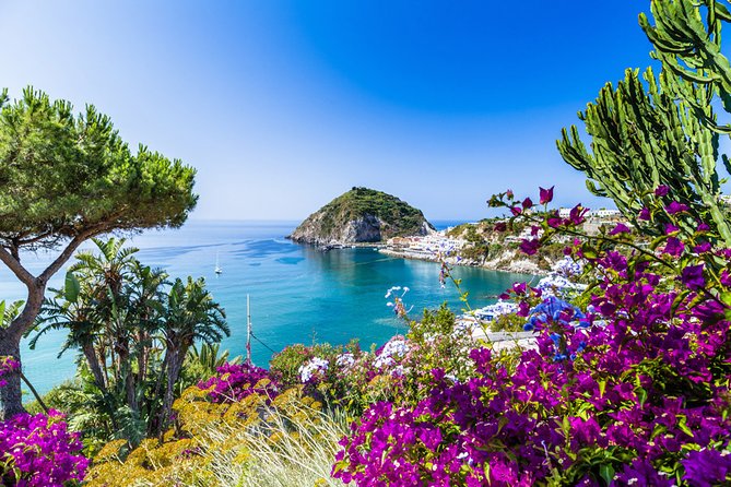 Afternoon Bus Tour of the Island of Ischia - Key points to know before booking