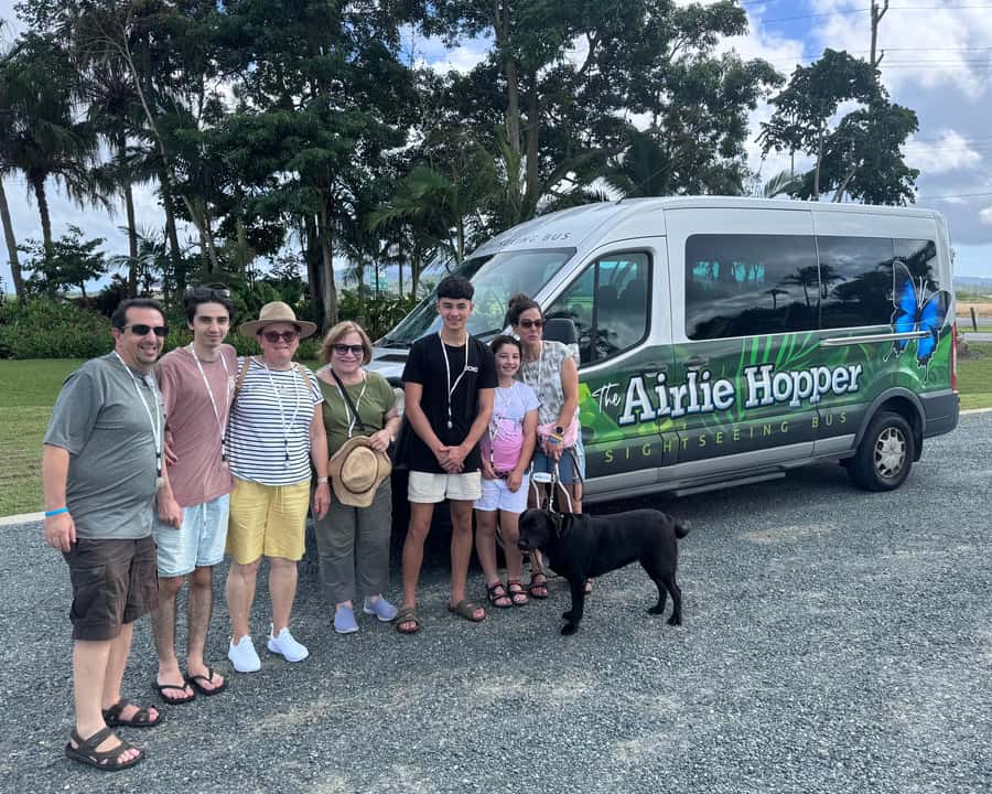 Airlie Beach: Sightseeing Bus Tour - Why this four-hour tour works for a first day