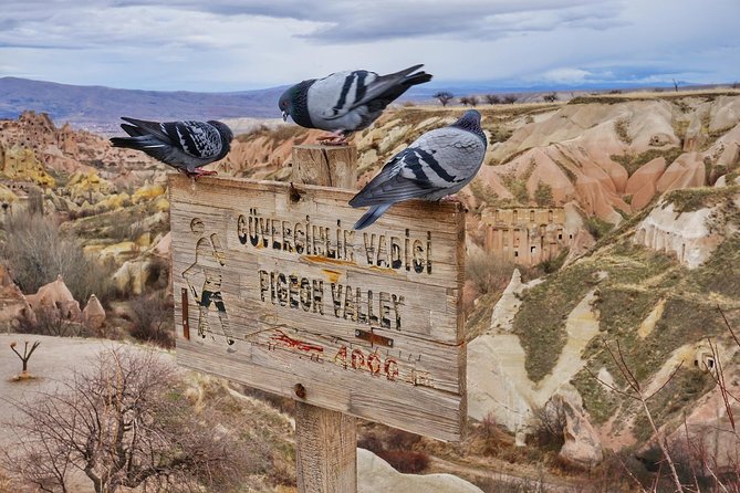 Alanya: Cappadocia 2 Day Guided Bus Tour incl. Hotel - Lunch in Aksaray, then Devrent Valley