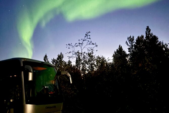 Alta: The Northern Lights Bus – a comfortable Arctic journey - Alta after dark, with the sky as your guide