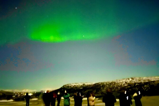 Alta: The Northern Lights Bus – a comfortable Arctic journey - Who should book this Alta evening?