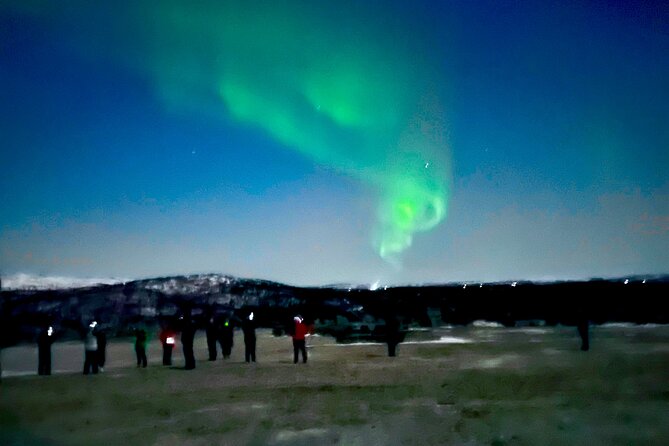 Alta: The Northern Lights Bus – a comfortable Arctic journey - Booking, pickup, and cancellation details