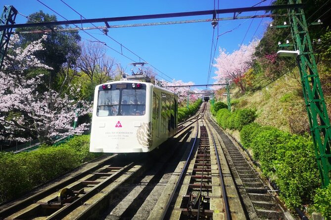 Amanohashidate & Miyama 1-Day Bus Tour: From Osaka/Kyoto w/ Lunch - Chionji Temple gives the morning a calm start