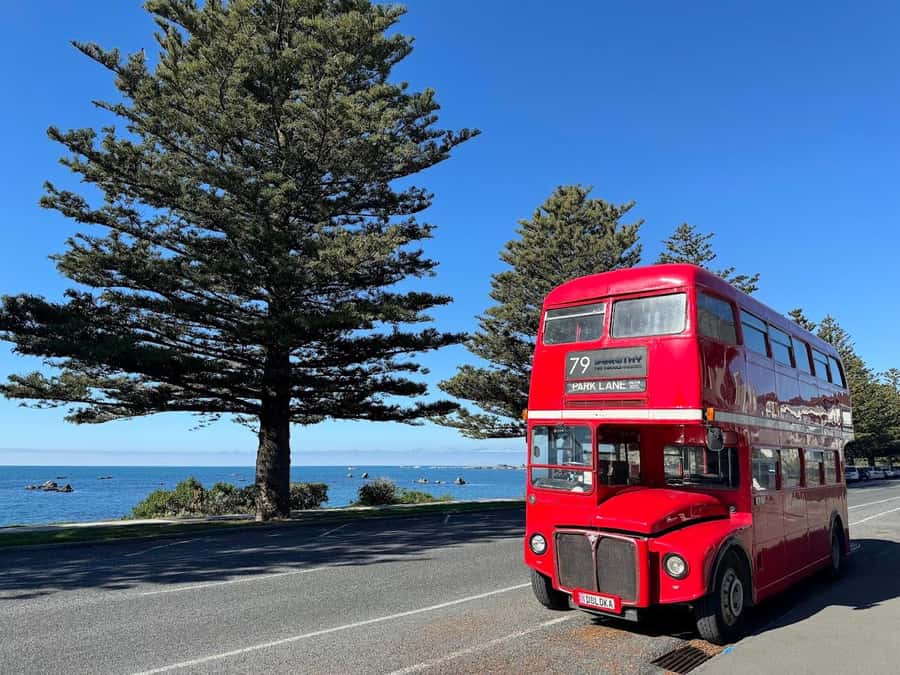 Auckland: Vintage Double-Decker Bus Sightseeing Tour - The 1.5-hour city circuit