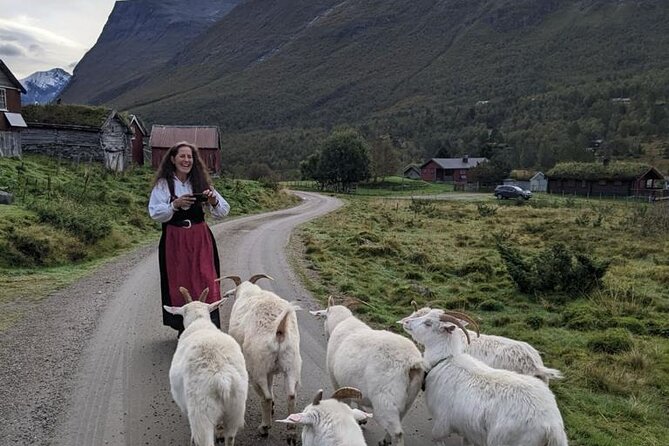Audio-Guide Bus Tour at Scenic Routes of Åndalsnes to Trollstigen - Trollstigen Road changes the entire experience