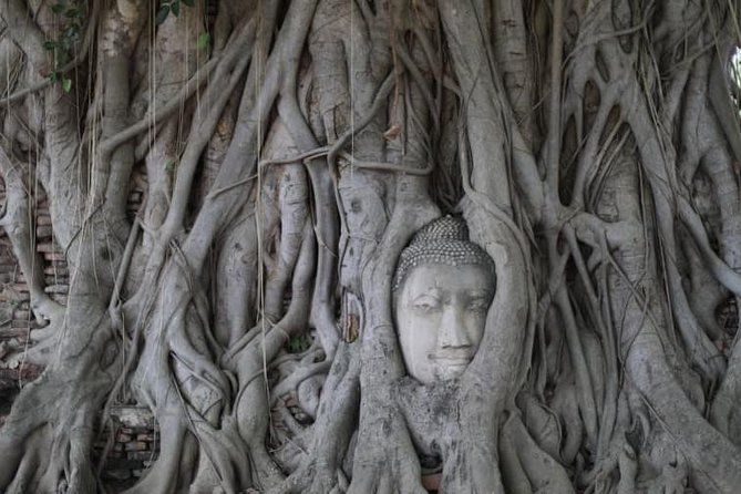 Ayutthaya’s Top Temple & Boat Tour From Bus Station - Wat Yai Chai Mongkhon and its saffron-robed Buddhas