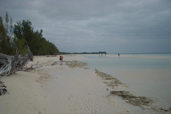 Bahamas Get-A-Round Bus Pass - How the price compares with the convenience