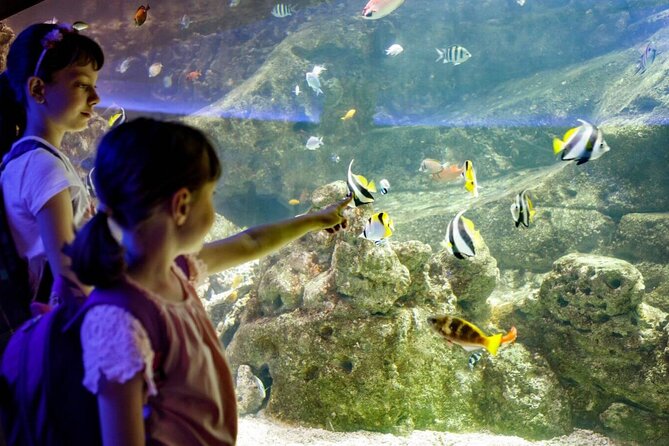 Barcelona City Tour Hop-On Hop-Off and Aquarium - Who will like this tour most