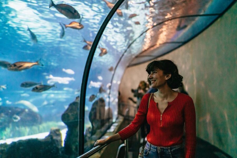 Barcelona: Hop-On Hop-Off Bus & Aquarium Tour - Key points to know before you go