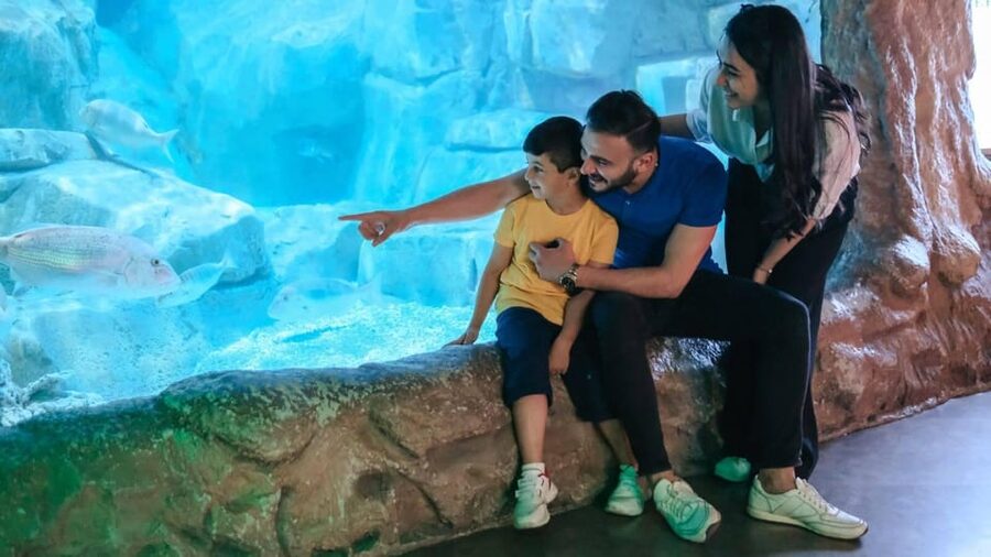 Barcelona: Hop-On Hop-Off Bus & Aquarium Tour - The orange route through Montjuïc and the west side