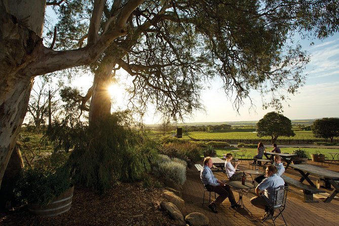Barossa Valley Hop-On Hop-Off Wine Tour - Why the driver-guide matters so much