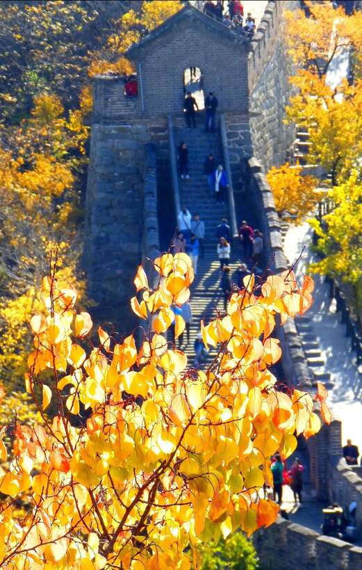 Beijing: Mutianyu Great Wall Bus Tour with Ticket &Cable car - Why Mutianyu makes a good Great Wall choice