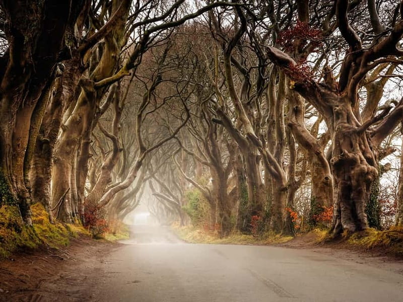 Belfast: Giant's Causeway Tour and 2-Day Open Top-Bus Tour - Carrickfergus Castle begins the coastal story
