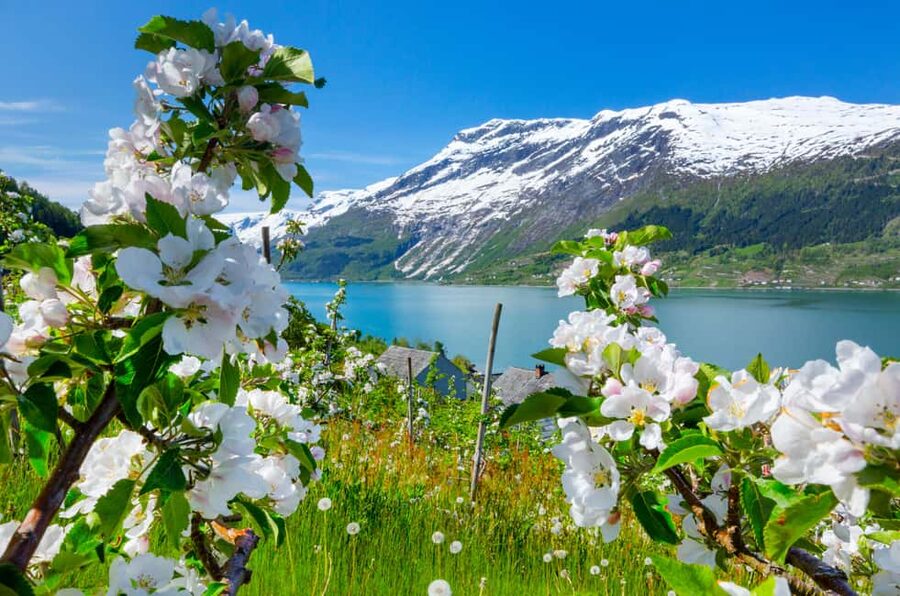 Bergen: Hardangerfjord & Waterfalls Bus Tour with Apple Pie - What this Hardangerfjord day actually offers