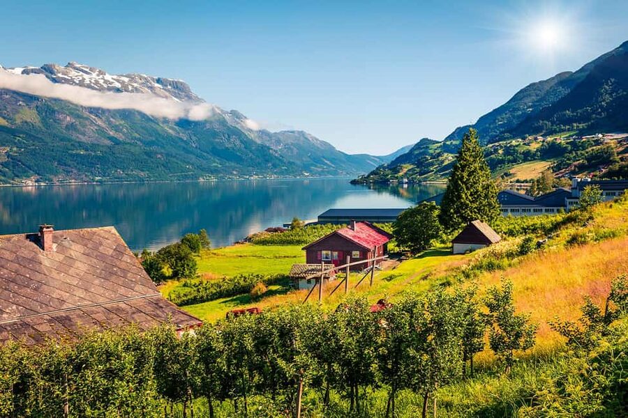 Bergen: Hardangerfjord & Waterfalls Bus Tour with Apple Pie - Kvamskogen and the road toward Hardangerfjord