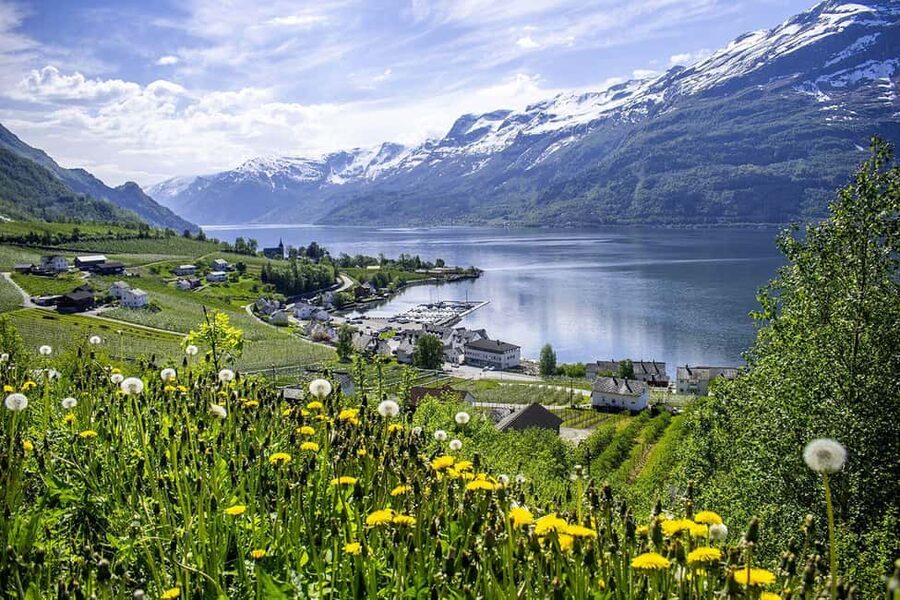 Bergen: Hardangerfjord & Waterfalls Bus Tour with Apple Pie - Salthammeren Stone Age carvings add an older story