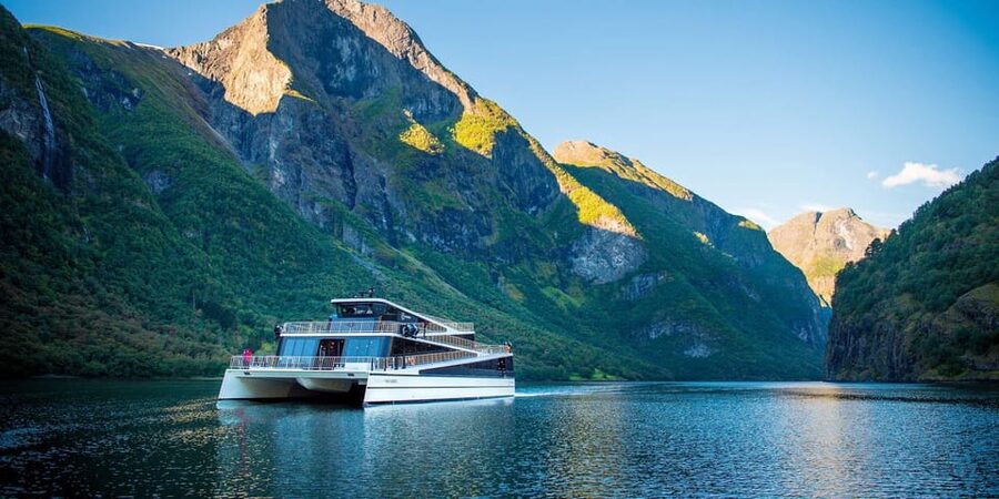 Bergen: Nærøyfjorden, Flåm, and Stegastein Guided Bus Tour - Gudvangen and the road into the fjord country