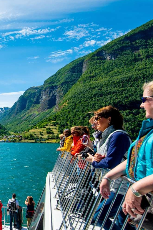 Bergen: Nærøyfjorden, Flåm, and Stegastein Guided Bus Tour - Stegastein: Norway from 650 meters up
