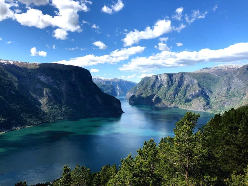 Bergen: Nærøyfjorden, Flåm, and Stegastein Guided Bus Tour - Is $309 a fair price?