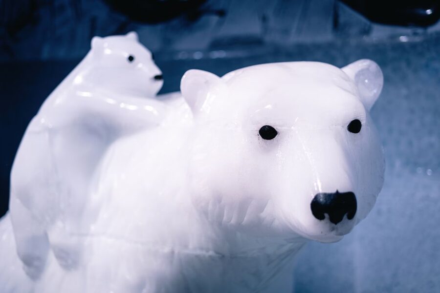 Berlin: Hop-On Hop-Off Bus and Icebar Ticket Combo - Beginning in the warm lounge