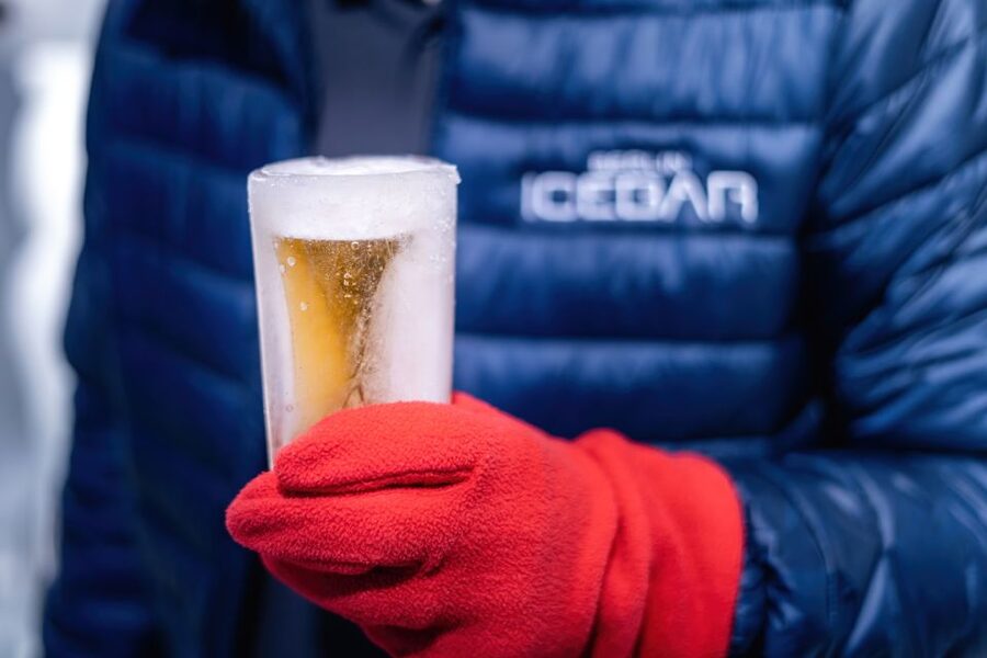 Berlin: Hop-On Hop-Off Bus and Icebar Ticket Combo - Is $44 good value?