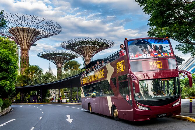 Big Bus Singapore Hop-On Hop-Off Tour - Key points to know before you go
