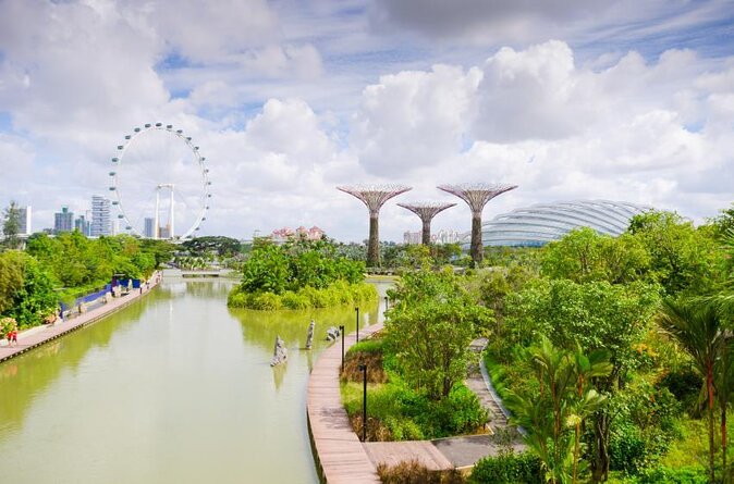 Big Bus Singapore Night Tour with Gardens by the Bay Light Show - Key points to know before booking