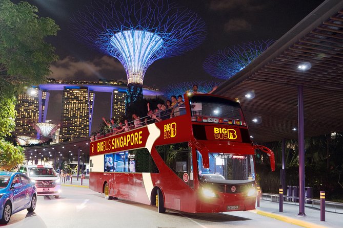 Big Bus Singapore Night Tour with Gardens by the Bay Light Show - Why this night tour works well