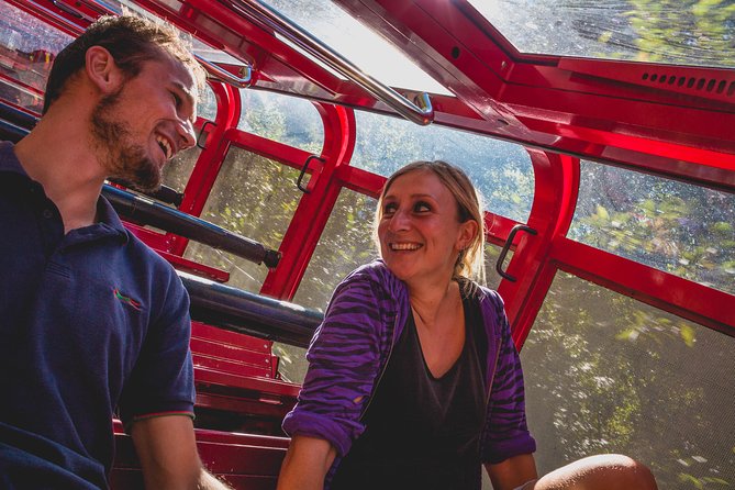 Blue Mountains Hop On Hop Off Tour - Walks, waterfalls, gardens, and galleries