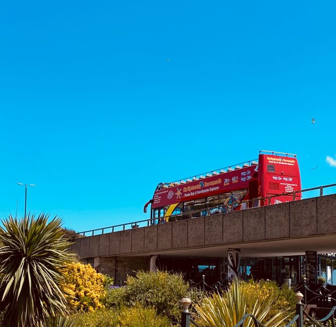 Bournemouth: City Sightseeing Hop-On Hop-Off Bus Tour - The ride itself: comfort, timing, and service