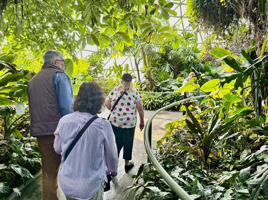 Brisbane Bus Tour: City highlights | Small group | Snack - Brisbane Botanic Gardens at Mount Coot-tha