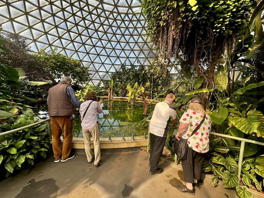 Brisbane Bus Tour: City highlights | Small group | Snack - Kangaroo Point and the river views