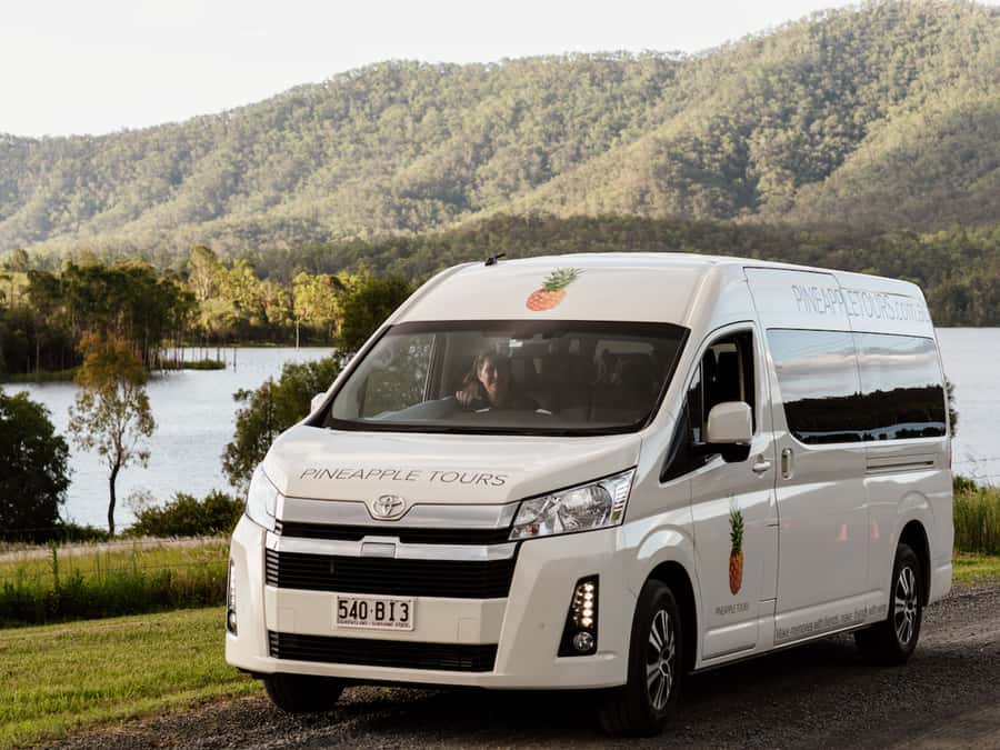 Brisbane: Daytime Glow Worm Caves Hop-on Hop-off Bus Tour - Brisbane pickup and the one-hour ride uphill
