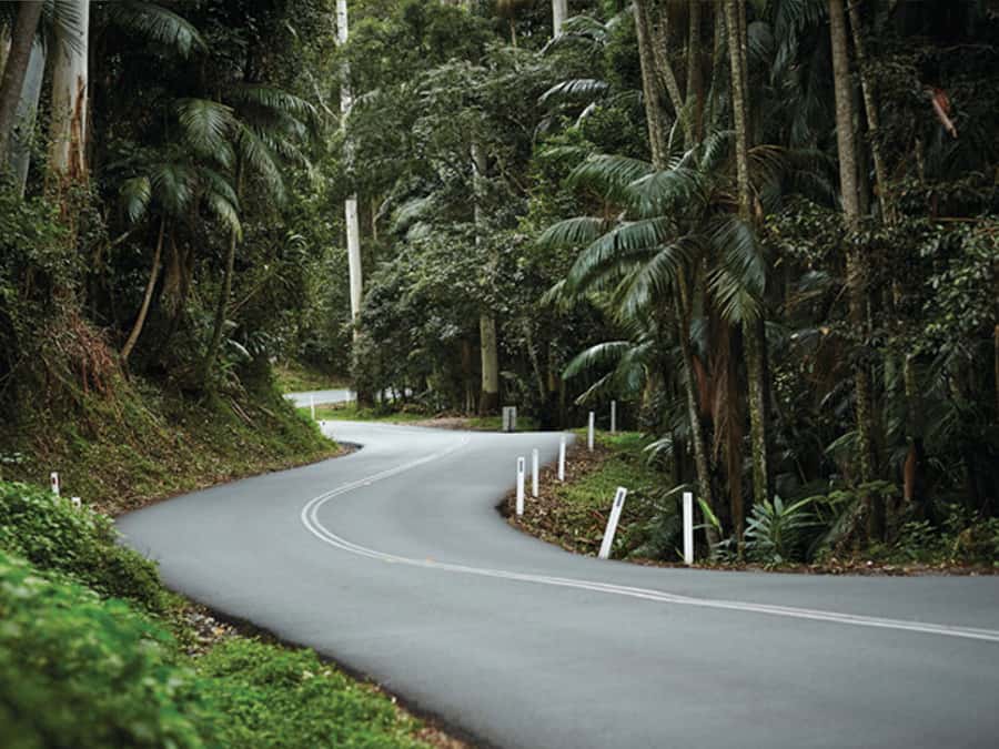 Brisbane: Daytime Glow Worm Caves Hop-on Hop-off Bus Tour - Seeing glow worms without a midnight outing
