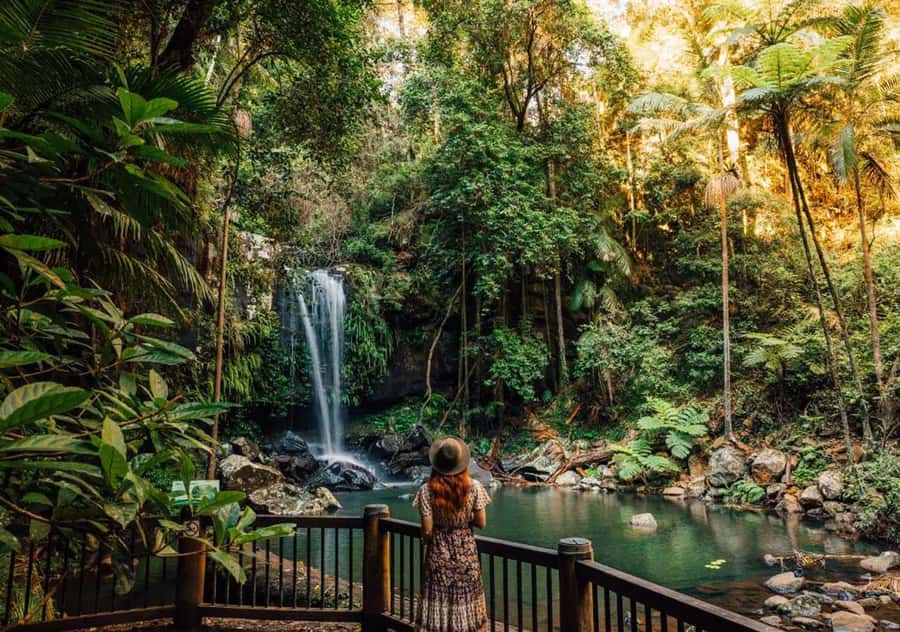 Brisbane: Hop on Hop off Bus to Tamborine Mountain - Making sense of the Green and Red Lines