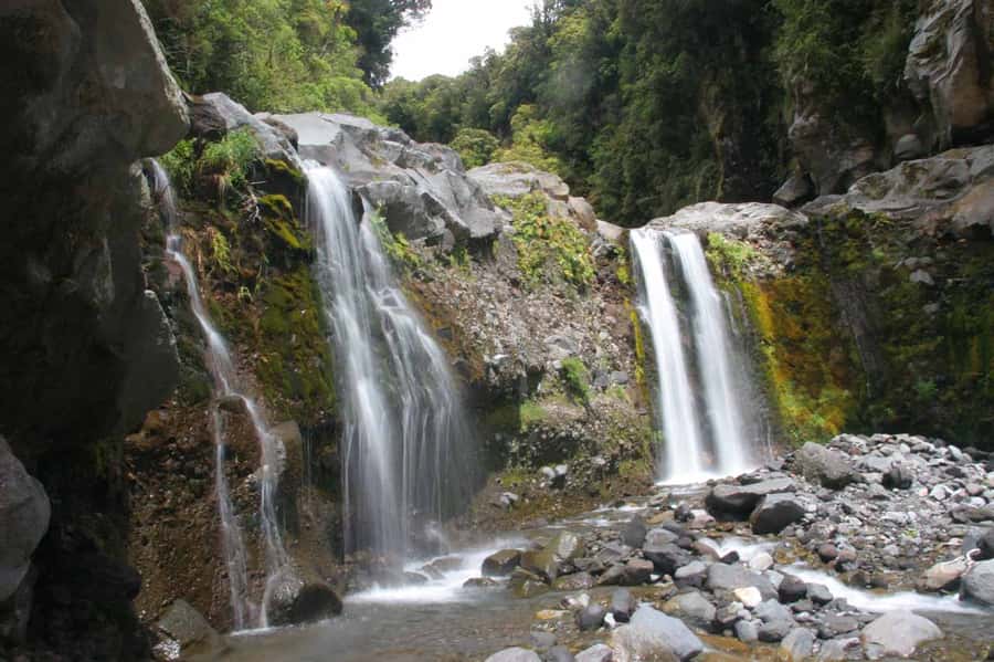 Brisbane: Hop on Hop off Bus to Tamborine Mountain - Coffee, cheese, and Gallery Walk