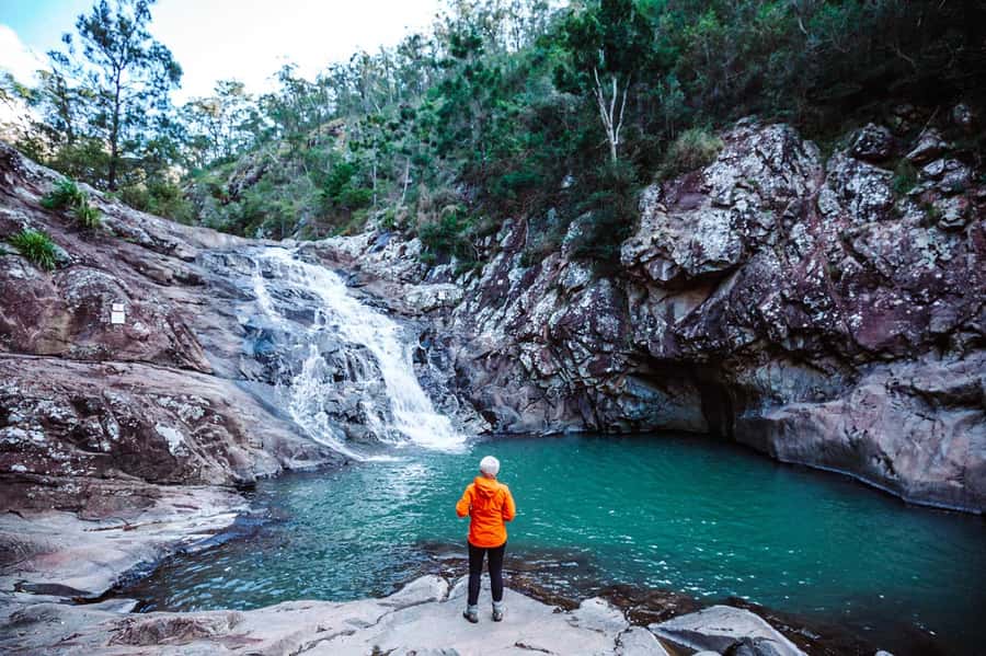 Brisbane: Hop on Hop off Bus to Tamborine Mountain - The 3:30pm return matters more than you think