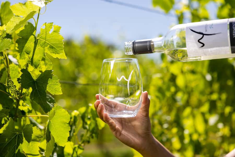 Brisbane: Wine Tasting - Hop on Hop off Tour to Mt Tamborine - Should you book the Brisbane to Tamborine Mountain tour?