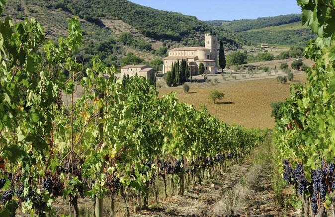 Brunello Vineyards Bus Tour - Key points to know before booking
